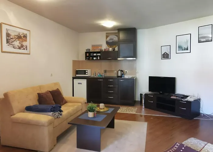 Sunny Studio Apartment - Few Steps From Gondola